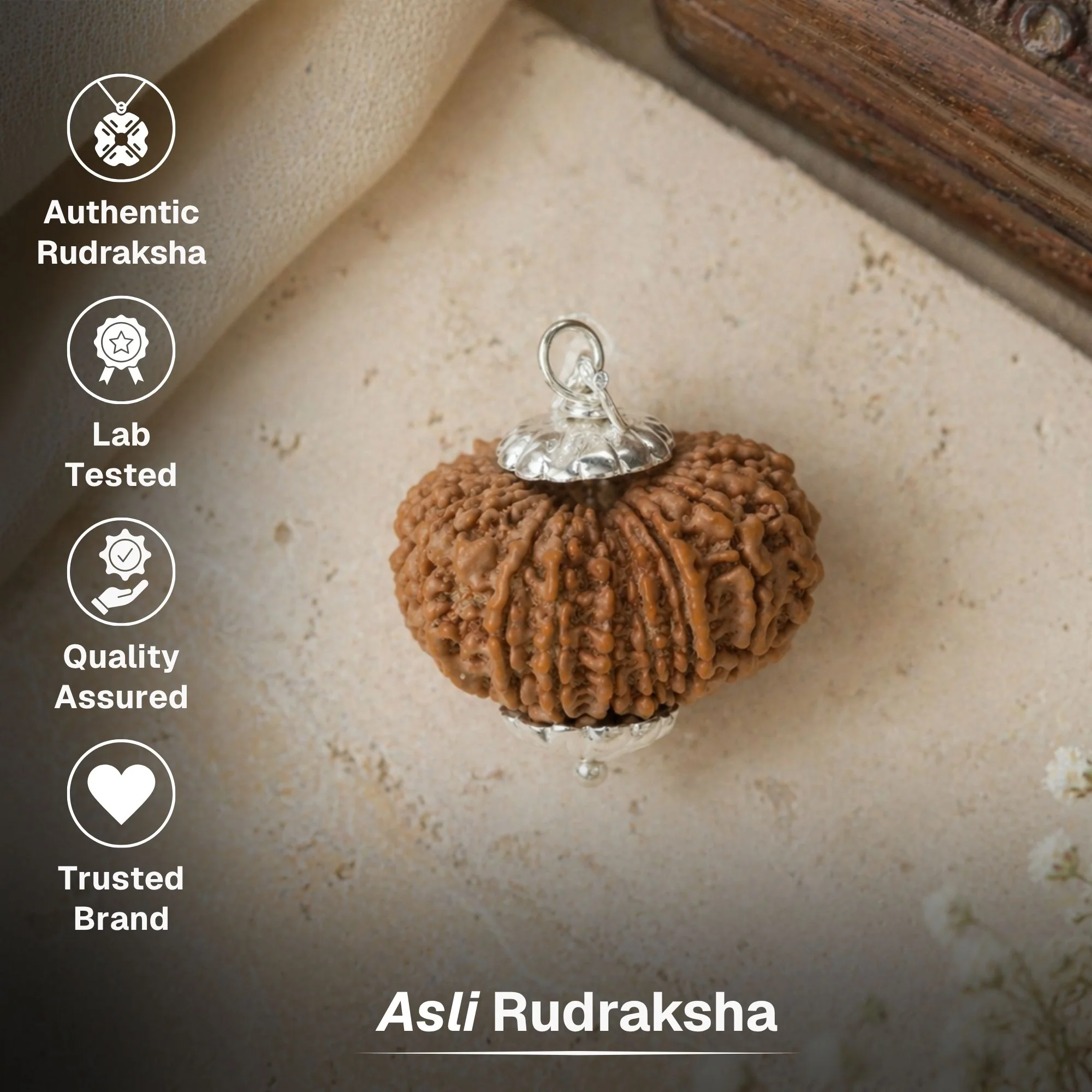 13 Mukhi Nepali Rudraksha - Terah Mukhi - Image 3
