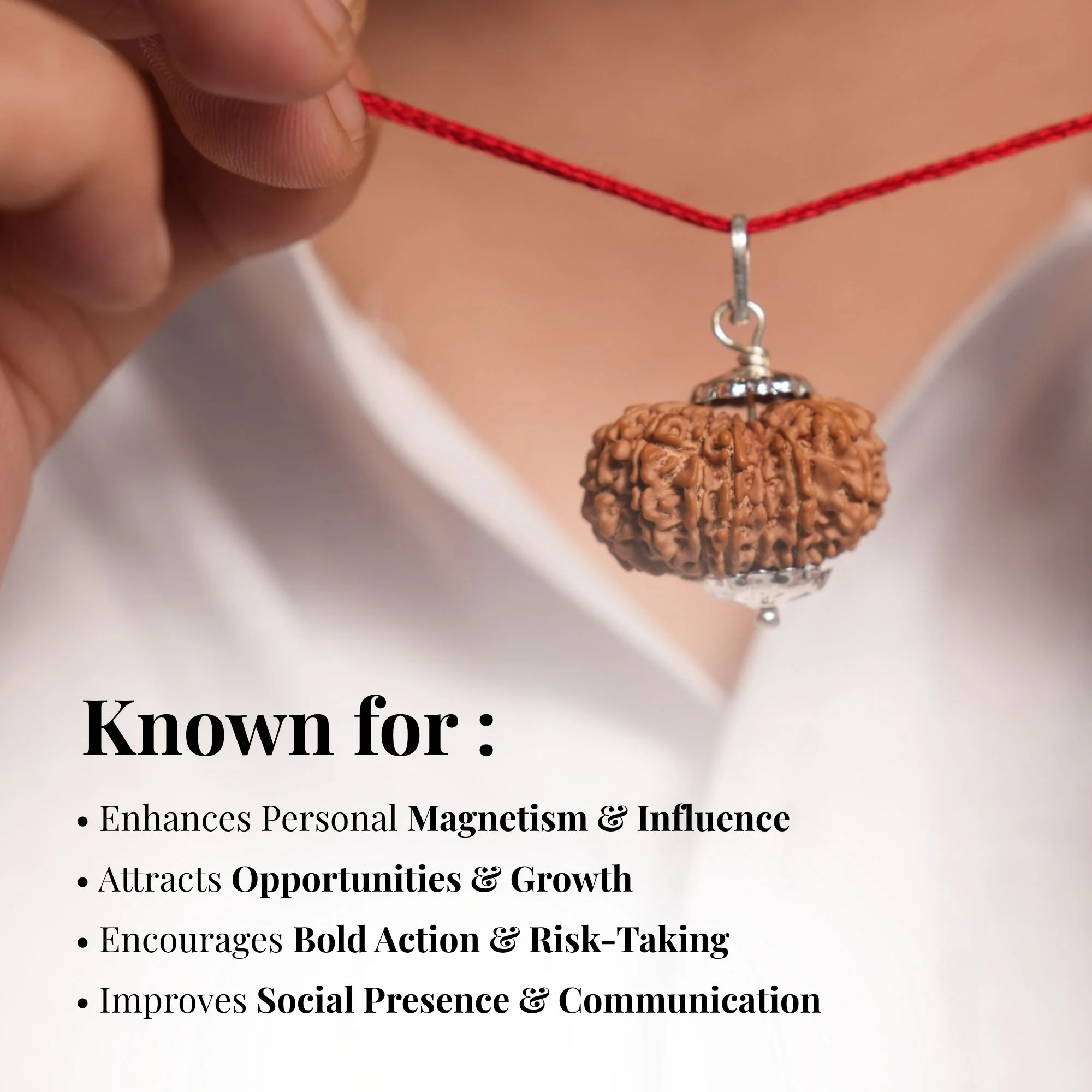 13 Mukhi Nepali Rudraksha - Terah Mukhi - Image 7
