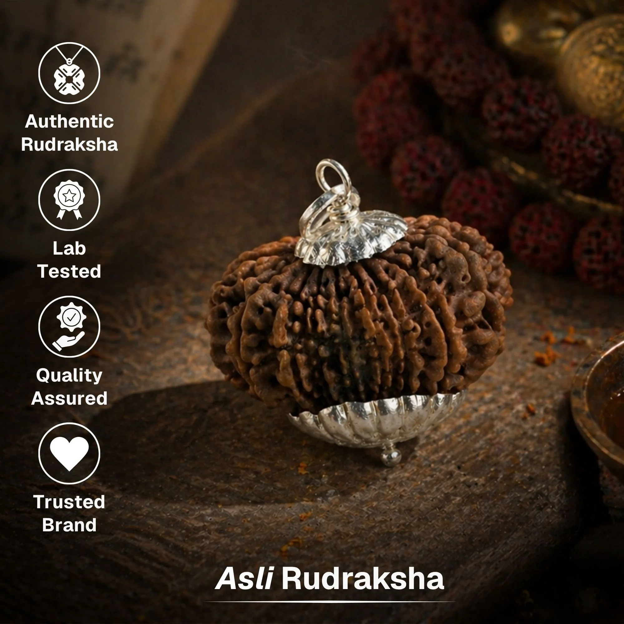 14 Mukhi Nepali Rudrkahsha - Chaudah Mukhi - Image 3