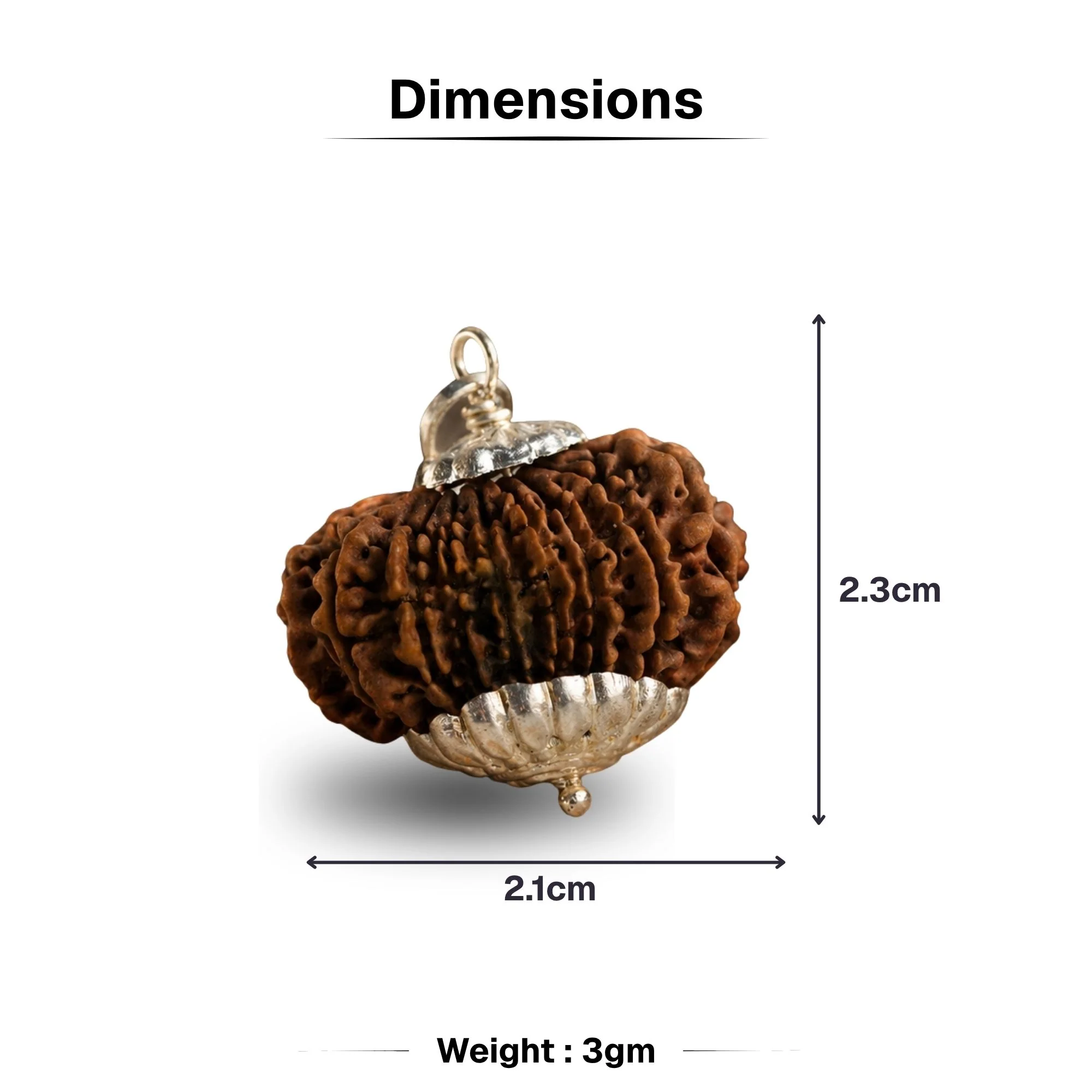 14 Mukhi Nepali Rudrkahsha - Chaudah Mukhi - Image 4