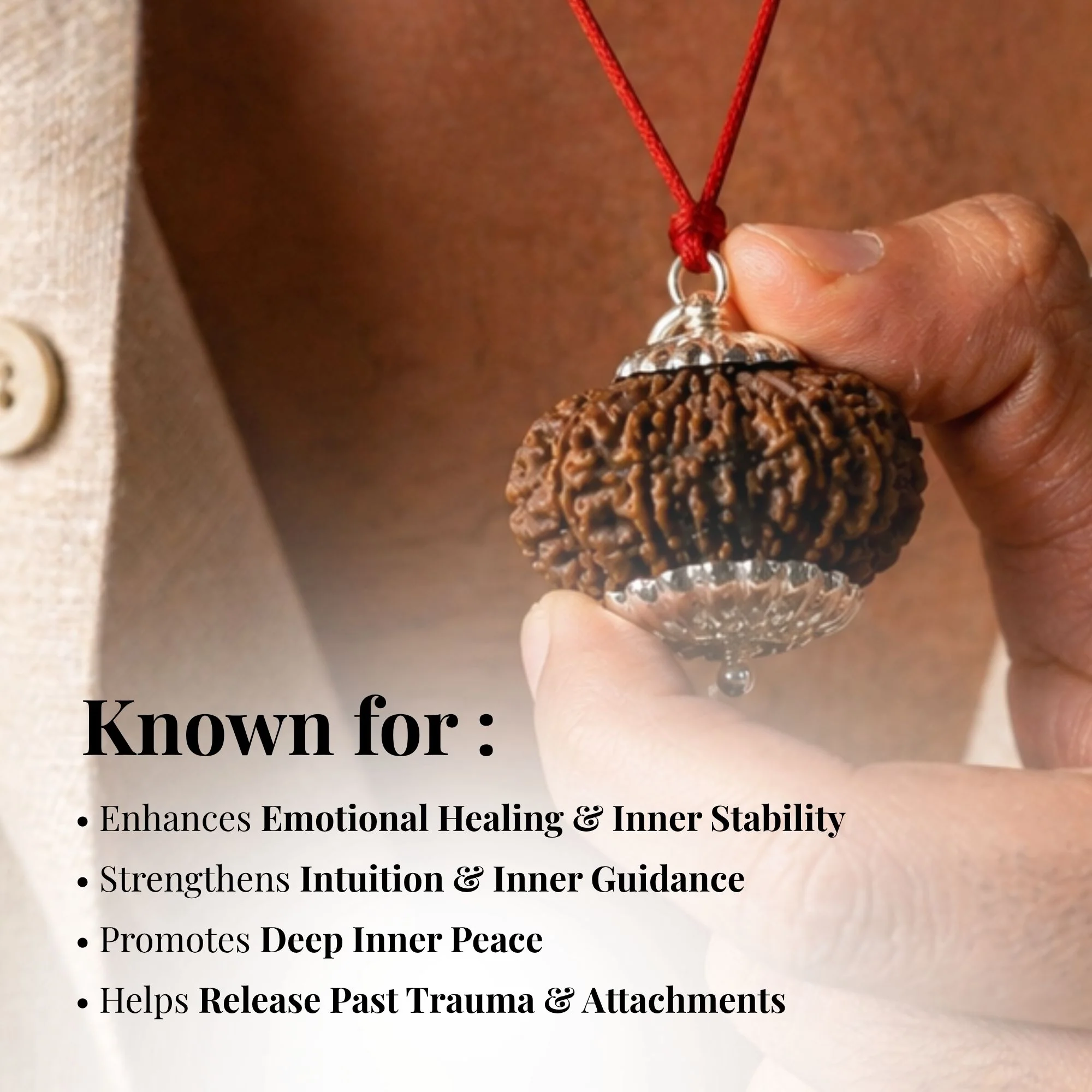 14 Mukhi Nepali Rudrkahsha - Chaudah Mukhi - Image 7