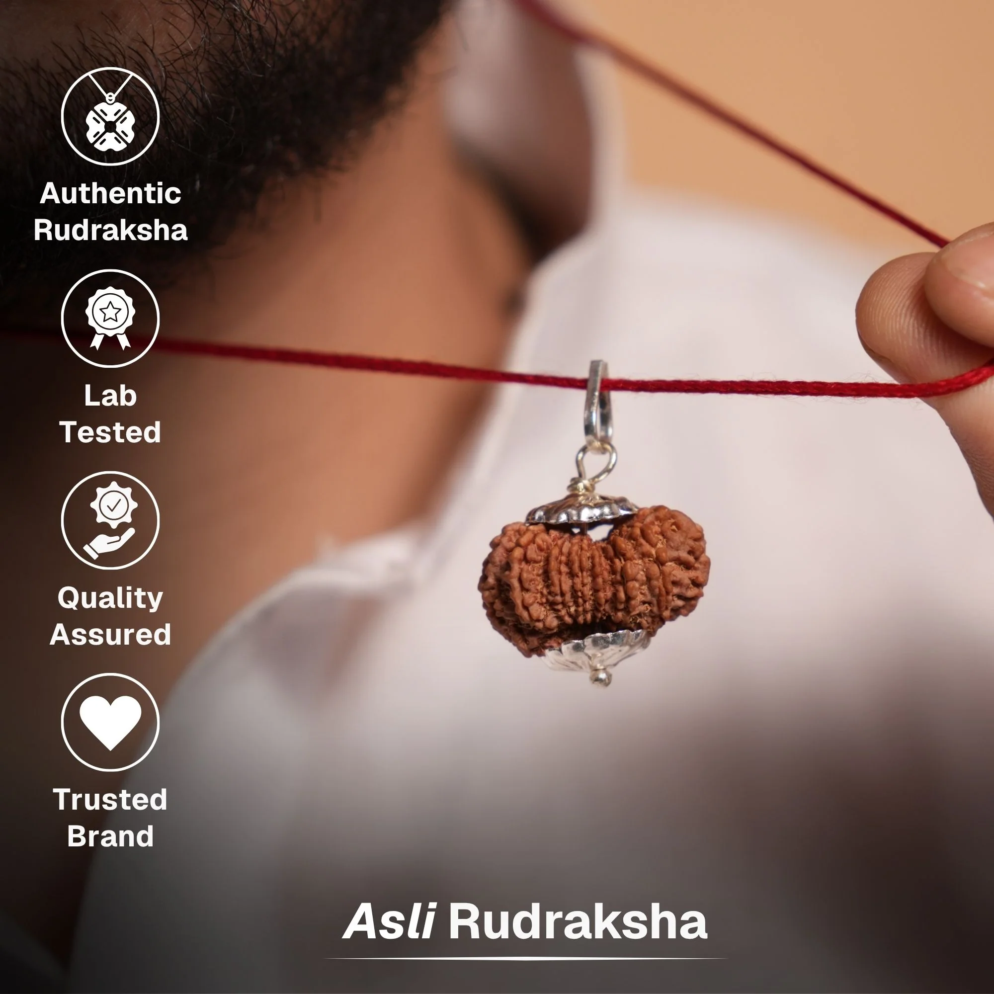 15 Mukhi Nepali Rudraksha - Pandrah Mukhi - Image 3