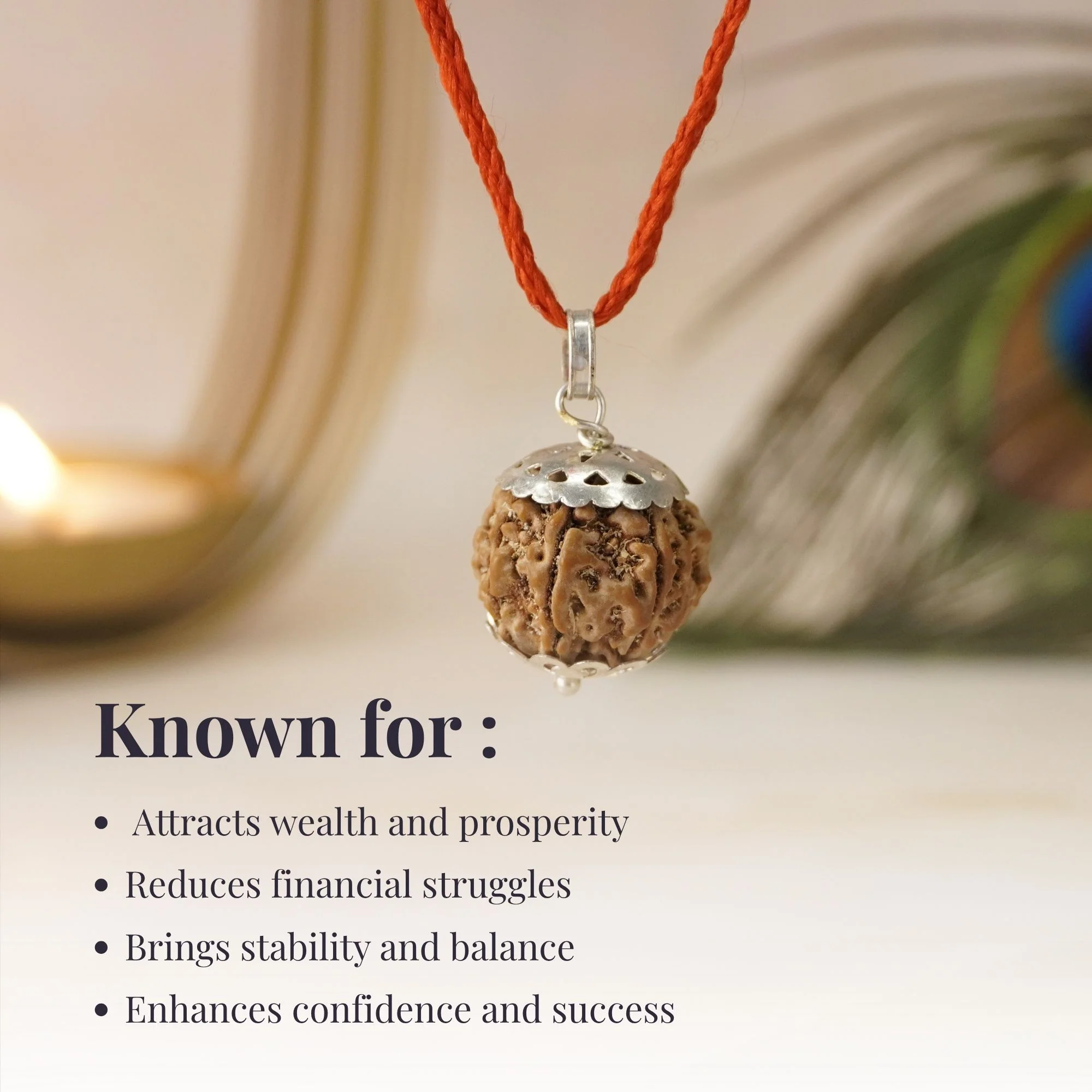 7 Mukhi Nepali Rudraksha - Saat Mukhi - Image 8