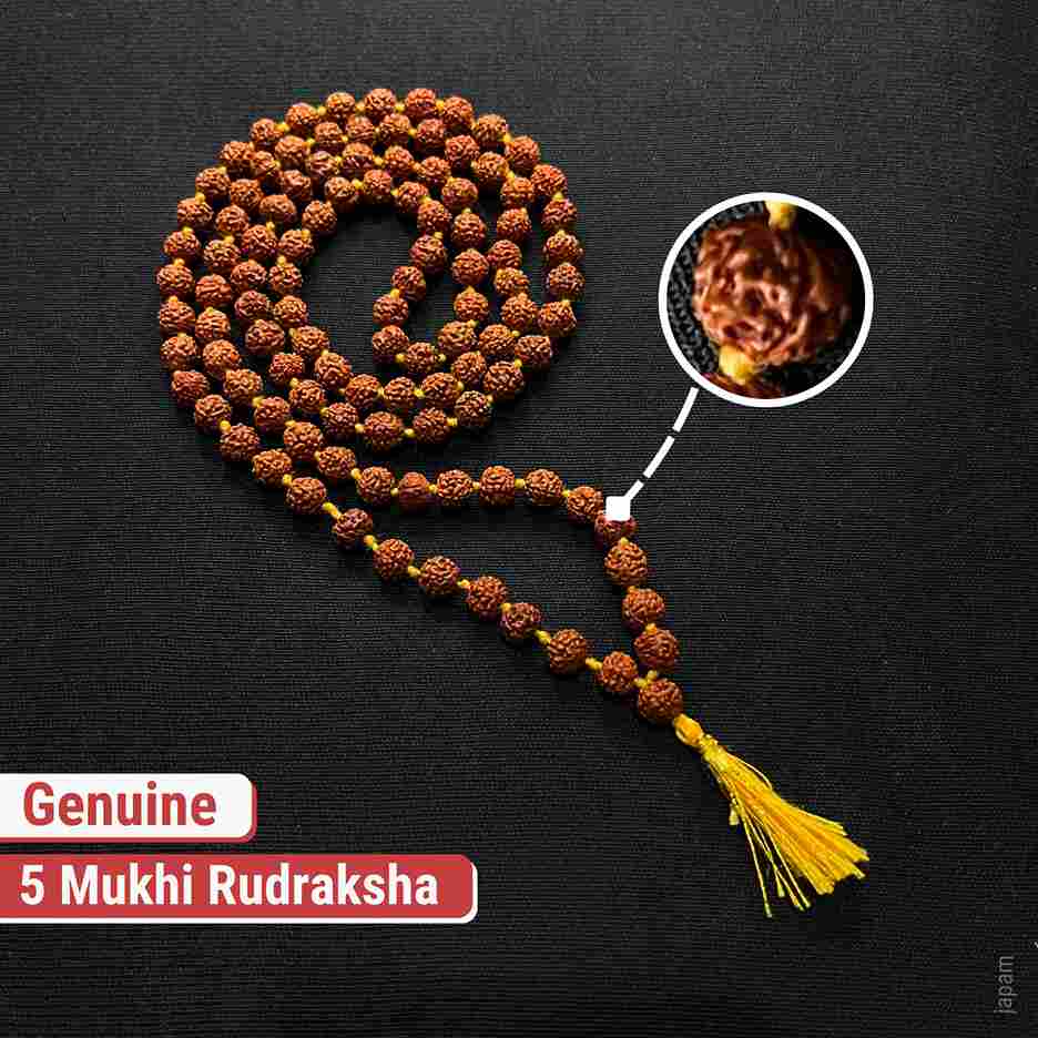 Brown Rudraksha Mala - 108+1 Beads - Image 5
