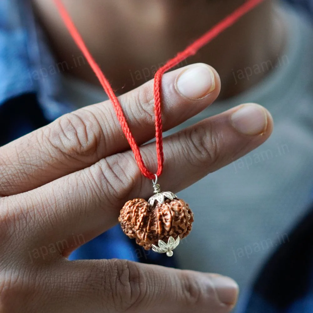 Garbh Gauri Rudraksha - Image 2