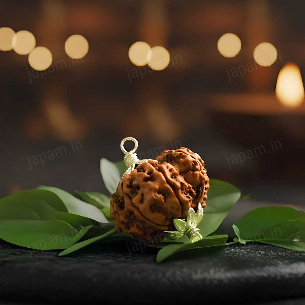 Garbh Gauri Rudraksha - Image 3