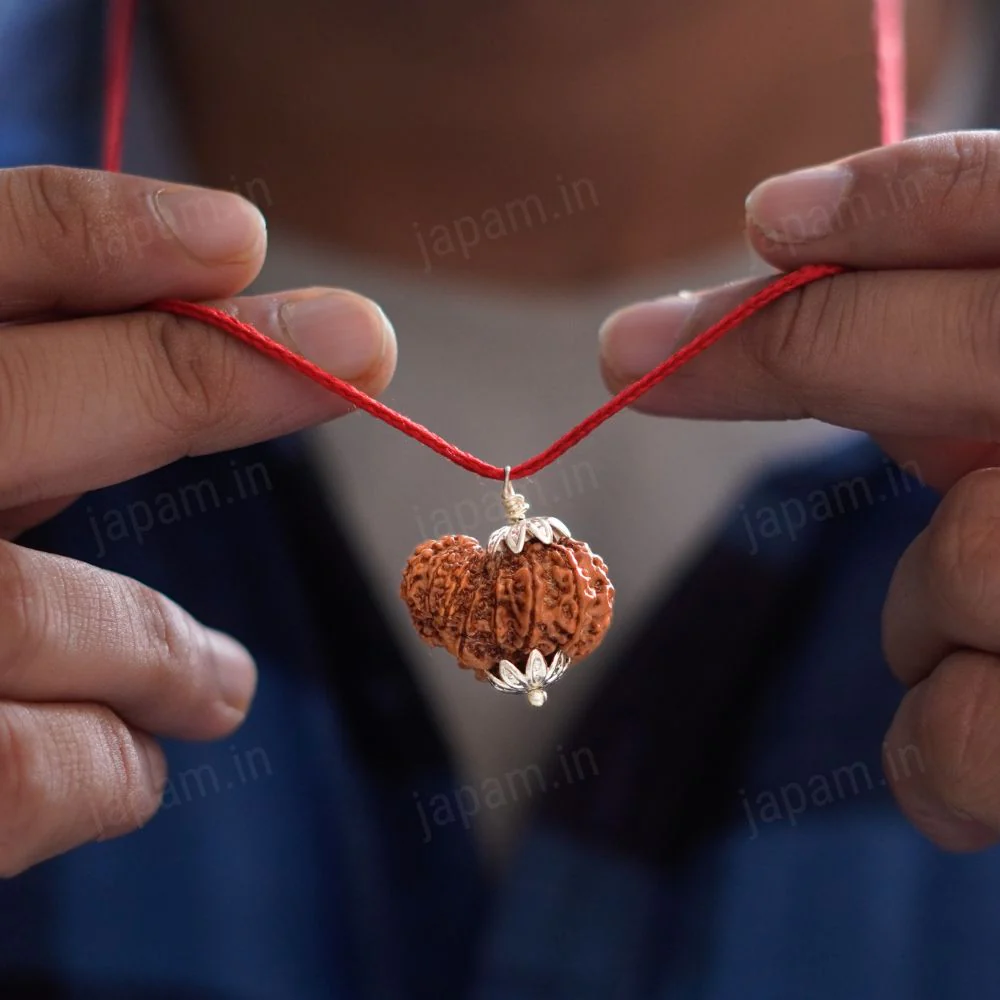 Garbh Gauri Rudraksha - Image 4