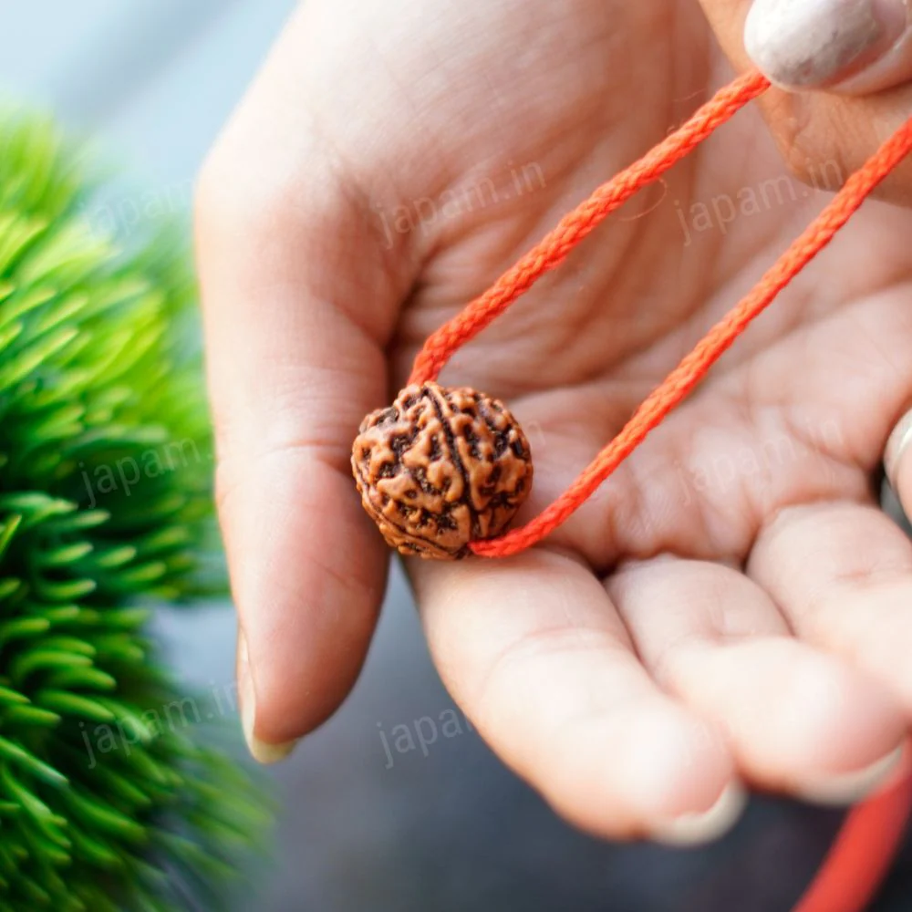 Har Ghar Mein Rudraksha - Claim Your Free 5 Mukhi Rudraksha - Image 2